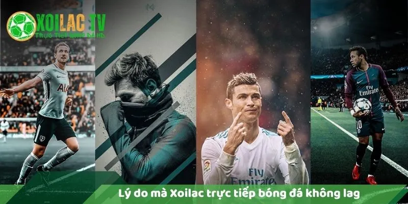 Lý Do Vì Sao Xoilac Trực Tiếp Bóng Đá Không Lag? 6 Lý do xoilac trực tiếp bóng đá không lag